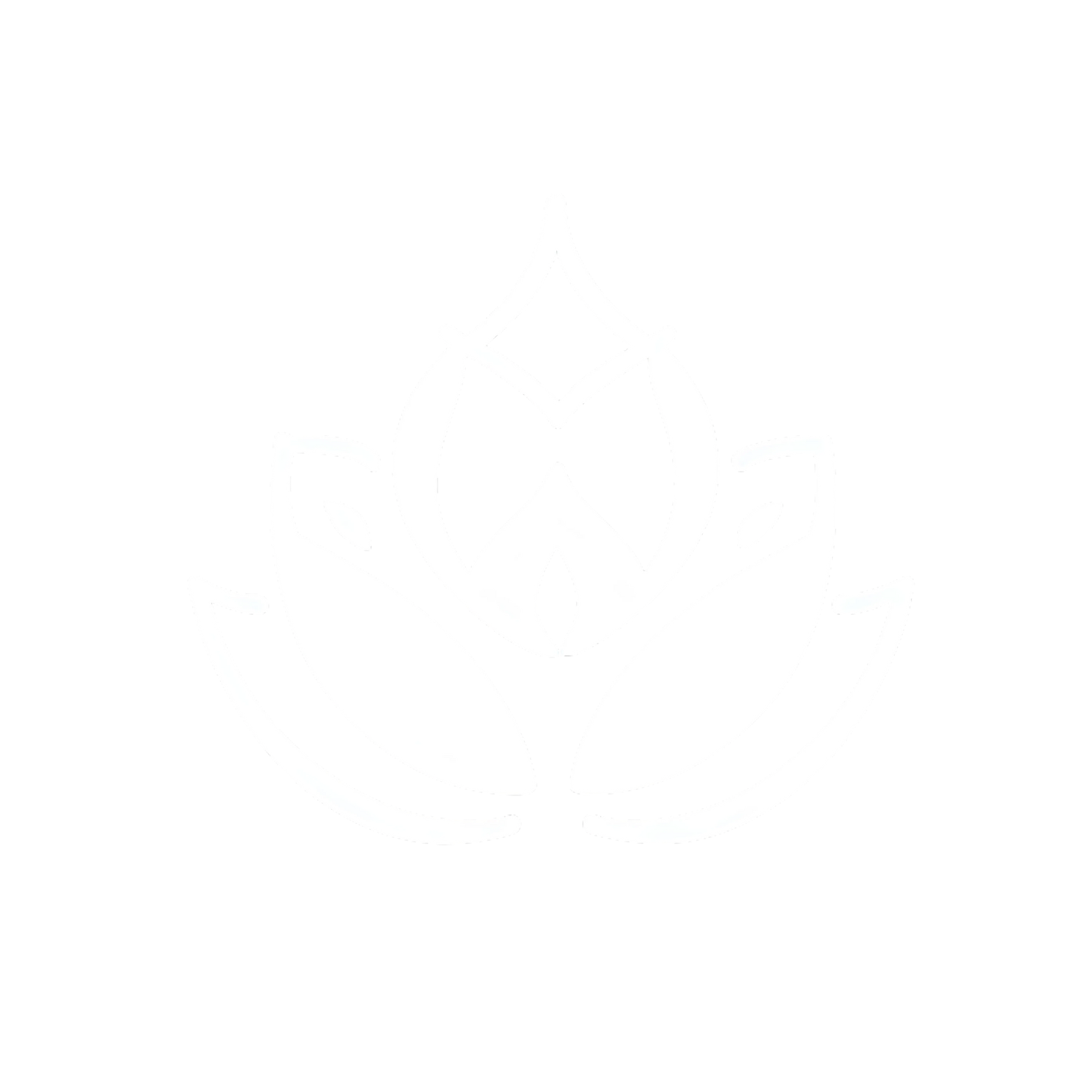 Meditra Logo